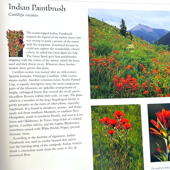 USPS Wildflowers A Collection Of U.S. Commemorative Stamps Hardcover Book - Picture 7 of 16